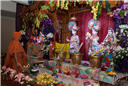 Holi and Nar Narayan Dev Jayanti - Fuldotsav - ISSO Swaminarayan Temple, Los Angeles, www.issola.com